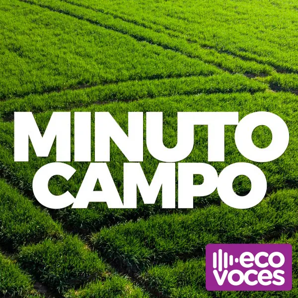 MINUTO CAMPO